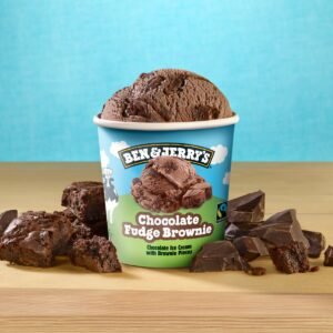 Ben & Jerry's Chocolate Fudge Brownie